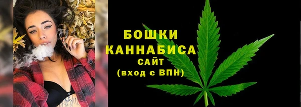 гидропоника Каменка