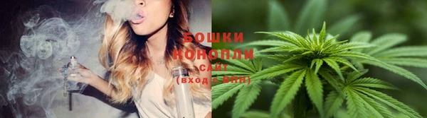 шишки Абинск