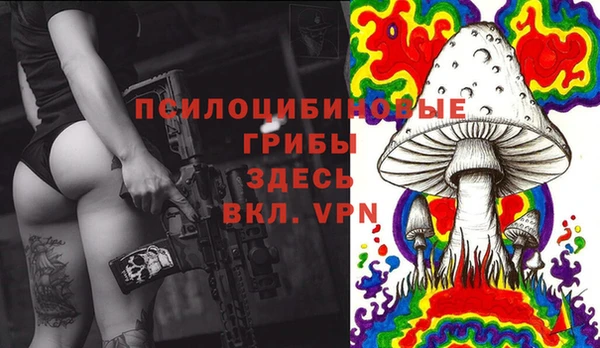 индика Абаза