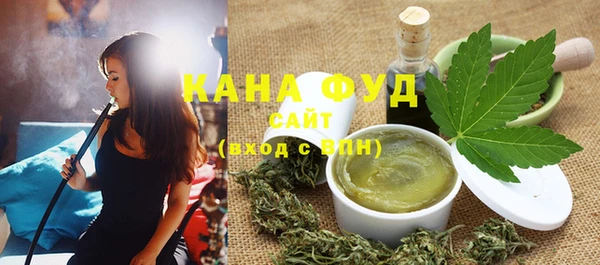 индика Абаза