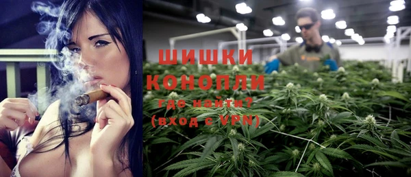 индика Абаза