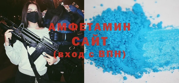 индика Абаза