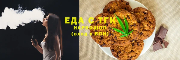 индика Абаза